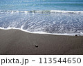 砂浜に打ち寄せる波 113544650