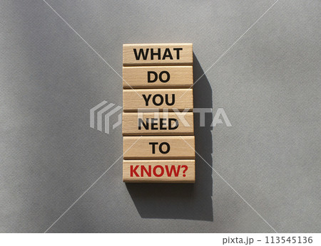 What do You need to Know symbol. Wooden blocks with words What do You need to Know. Beautiful grey background. Business and What do You need to Know. Copy space. What do You need to Know symbol. Wooden blocks with words What do You need to Know. Beautiful grey background. Business and What do You need to Know. Copy space. 113545136