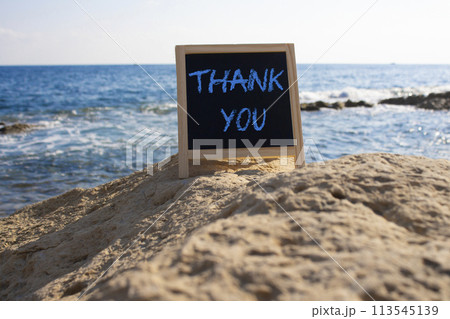 Thank you symbol. Concept word Thank you on black chalk background. Beautiful sea background. Business and Thank you concept. Copy space. 113545139