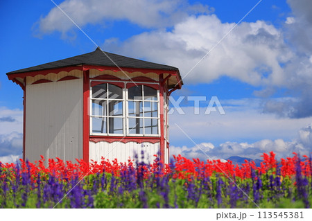 花のある風景 花のある風景 113545381