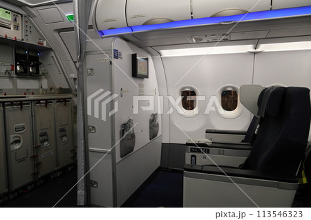 飛行機の機内 ANA国内線プレミアムクラス 113546323