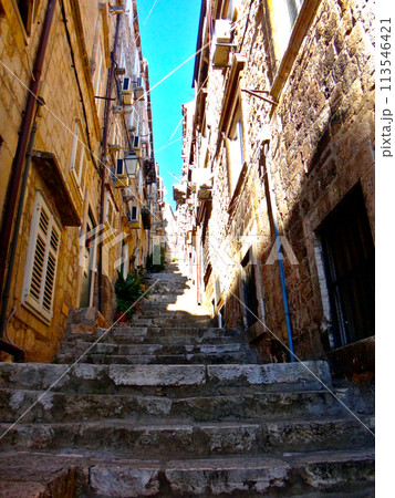 クロアチア・ドブロブニク旧市街 クロアチア・ドブロブニク旧市街 113546421