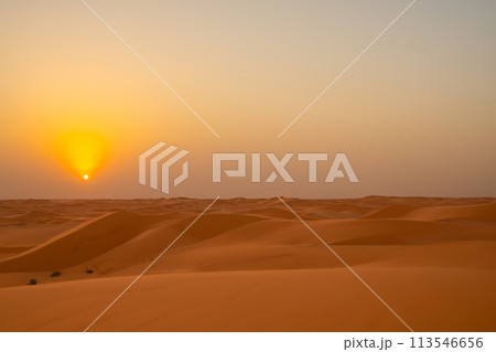 Desert. Dunset in desert. Desert in Dubai. The empty quarter and outdoor sand dune in oman old desert rub al khali. Panoramic. Landscape of golden sand dune with blue sky in Sahara desert. 113546656