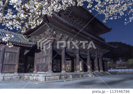 春の京都　南禅寺三門　夜桜 113546786