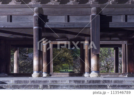 春の京都　南禅寺三門　夜桜 113546789