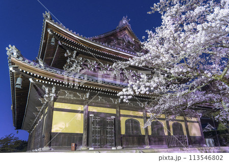春の京都　南禅寺法堂　夜桜 113546802