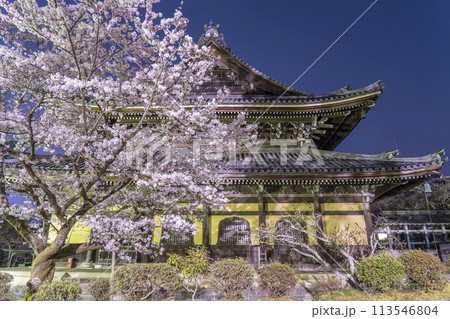 春の京都　南禅寺法堂　夜桜 113546804