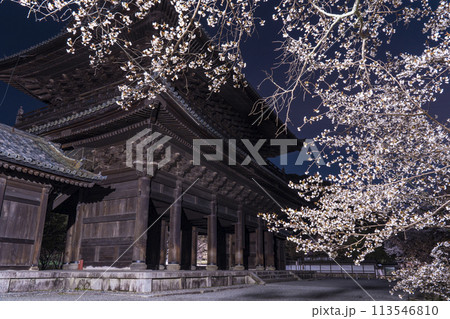 春の京都 南禅寺三門 夜桜 春の京都 南禅寺三門 夜桜 113546810