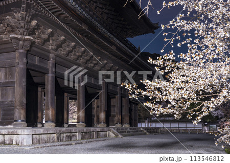 春の京都　南禅寺三門　夜桜 113546812