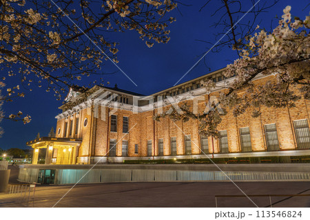 春の京都　夜桜と京都市京セラ美術館 113546824