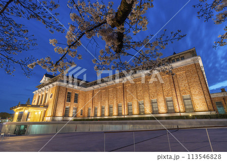 春の京都　夜桜と京都市京セラ美術館 113546828