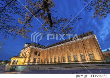 春の京都　夜桜と京都市京セラ美術館 113546830