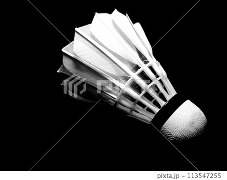A badminton shuttlecock feather against a black background. A badminton shuttlecock feather against a black background. 113547255