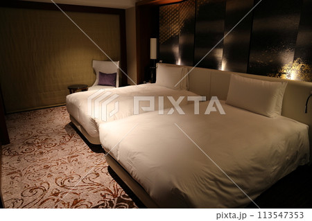 外資系ラグジュアリーホテルのスイートルームの寝室 ツインベッド 113547353