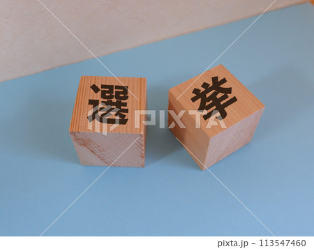 選挙のアイキャッチ画像 選挙のアイキャッチ画像 113547460