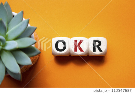 OKR objectives and key results symbol. Wooden cubes with words OKR objectives and key results. Beautiful orange background with succulent plant. Business and OKR concept. Copy space. OKR objectives and key results symbol. Wooden cubes with words OKR objectives and key results. Beautiful orange background with succulent plant. Business and OKR concept. Copy space. 113547687