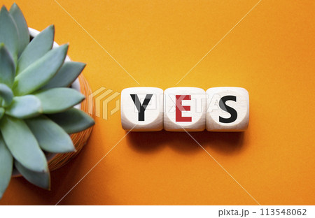 Yes symbol. Wooden blocks with word yes. Beautiful orange background with succulent plant. Business and yes concept. Copy space. 113548062