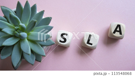 SLA - Service Level Agreement. Wooden cubes with word SLA. Beautiful pink background with succulent plant. Business and Service Level Agreement concept. Copy space. 113548068