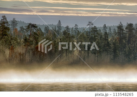 Gorgeous autumn landscape with river and misty forest Gorgeous autumn landscape with river and misty forest 113548265