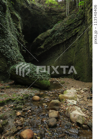 高知県安芸市 伊尾木洞の風景 高知県安芸市 伊尾木洞の風景 113548406