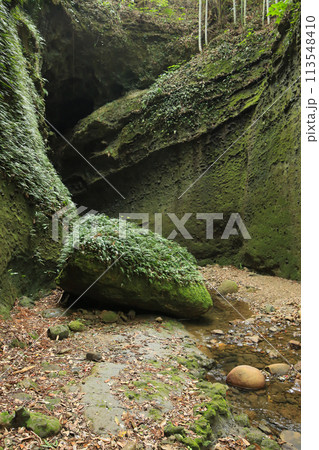 高知県安芸市 伊尾木洞の風景 高知県安芸市 伊尾木洞の風景 113548410