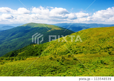 rolling landscape of carpathian mountains in evening light. mountainous scenery of transcarpathia, ukraine in summer. view from the hillside of smooth or runa mnt. rolling landscape of carpathian mountains in evening light. mountainous scenery of transcarpathia, ukraine in summer. view from the hillside of smooth or runa mnt. 113548539