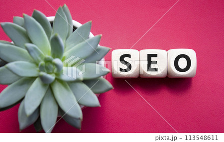 SEO - Search Engine Optimization symbol. Wooden blocks with words SEO. Beautiful red background with succulent plant. Business and SEO concept. Copy space. 113548611