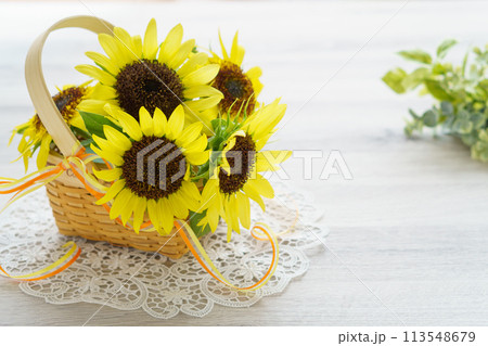 ひまわりのフラワーバスケット 113548679