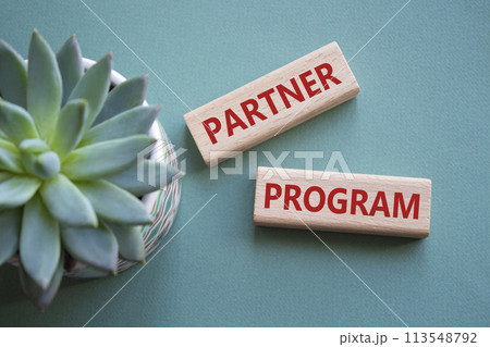 Partner Program symbol. Wooden blocks with words Partner Program. Beautiful grey green background with succulent plant. Business and Partner Program concept. Copy space. 113548792