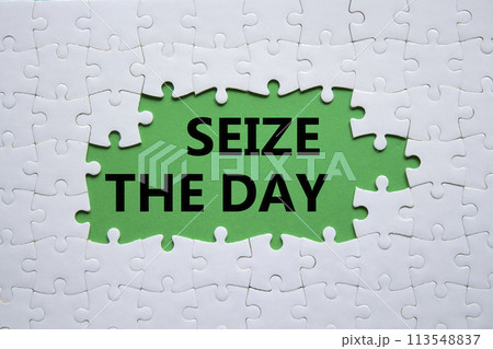 Seize the day symbol. White puzzle with words Seize the day. Beautiful green background. Business and Seize the day concept. Copy space. 113548837