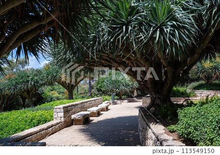 Park Ramat Hanadiv, Memorial Gardens of Baron Edmond de Rothschild, Zichron Yaakov, Israel 113549150