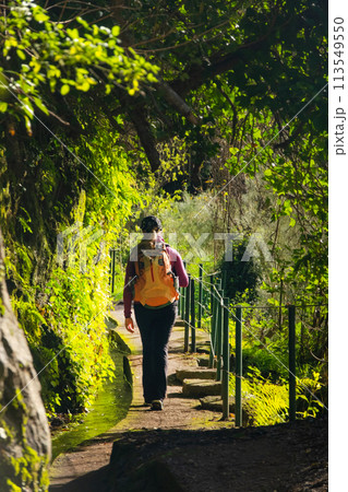 Tourist on Levada do Norte on the Portuguese island of Madeira. Levada irrigation canal. Hiking in Madeira. Narrow path next to the levada. Green tropical plants 113549550