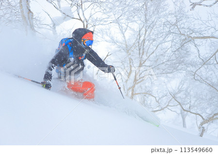 バックカントリースキー バックカントリースキー 113549660