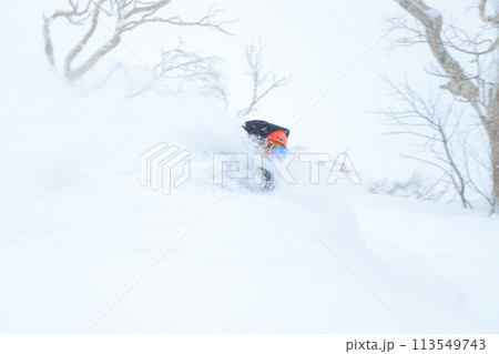 バックカントリースキー バックカントリースキー 113549743