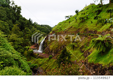 Waterfall in Parque Natural da Ribeira dos Caldeiroes in Sao Miguel Island, Azores Waterfall in Parque Natural da Ribeira dos Caldeiroes in Sao Miguel Island, Azores 113549927