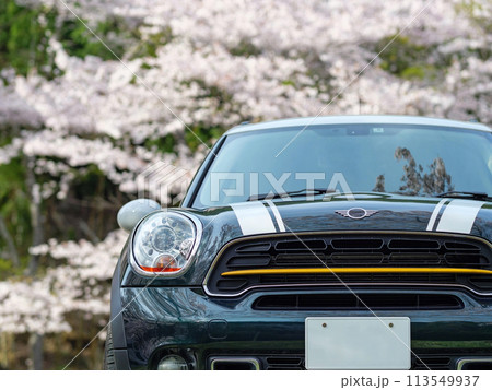 桜と輸入車 桜と輸入車 113549937