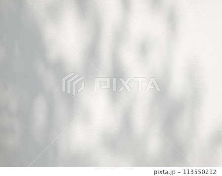 Leaf shadow and light on white concrete wall background 113550212