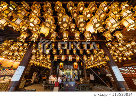 【第1番札所】霊山寺　本堂　吊り灯篭【四国八十八箇所】 113550814