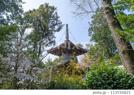 【第1番札所】霊山寺　多宝塔【四国八十八箇所】 113550825