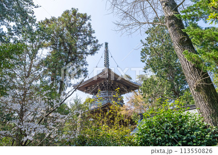 【第1番札所】霊山寺 多宝塔【四国八十八箇所】 【第1番札所】霊山寺 多宝塔【四国八十八箇所】 113550826