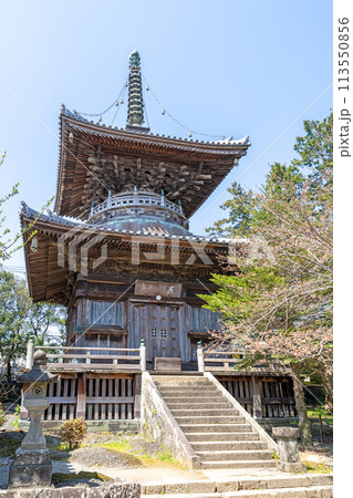 【第1番札所】霊山寺　多宝塔【四国八十八箇所】 113550856