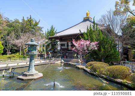 【第1番札所】春の霊山寺　大師堂　放生池【四国八十八箇所】 113550881