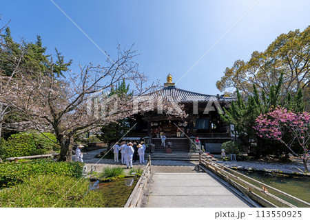 【第1番札所】春の霊山寺　大師堂【四国八十八箇所】 113550925
