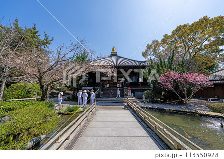 【第1番札所】春の霊山寺 大師堂【四国八十八箇所】 【第1番札所】春の霊山寺 大師堂【四国八十八箇所】 113550928