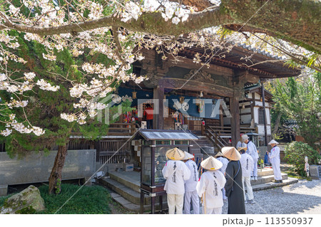 【第1番札所】春の霊山寺 大師堂【四国八十八箇所】 【第1番札所】春の霊山寺 大師堂【四国八十八箇所】 113550937