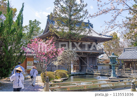 【第1番札所】春の霊山寺【四国八十八箇所】 113551036