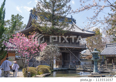 【第1番札所】春の霊山寺【四国八十八箇所】 【第1番札所】春の霊山寺【四国八十八箇所】 113551037
