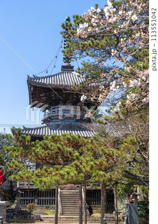 【第1番札所】春の霊山寺　多宝塔【四国八十八箇所】 113551042