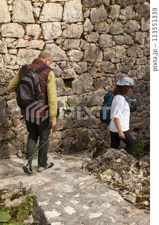senior couple hiking outdoor, man and woman norwegian walking with sticks landscape senior couple hiking outdoor, man and woman norwegian walking with sticks landscape 113551339
