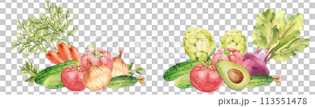 Set of vegetable compositions. Cucumbers and beet, artichoke. Tomato, potato and parsley plant, onion. Paprika and carrot, avocado. Hand drawn botanical watercolor illustration isolated on white 113551478